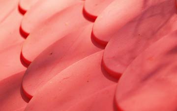 Airthrey Castle plastic roof costs