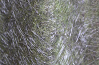 Airthrey Castle fibreglass roof work